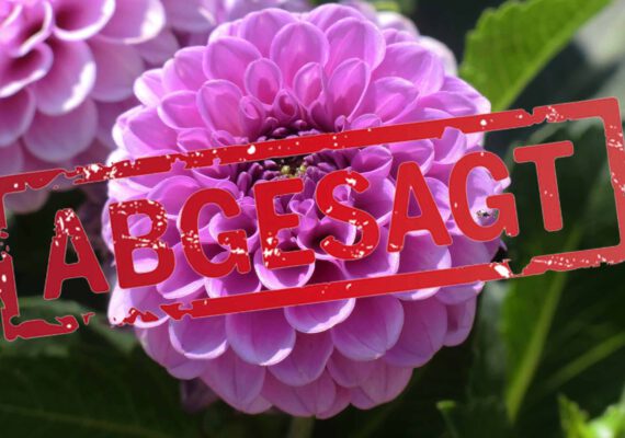 wufka-reisen-package-ingolstadt-landesgartenschau-village-abgesagt