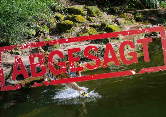 wufka-reisen-package-tiergarten-nuernberg-abgesagt